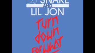 Turn Down For What Lil Jon Ft Juicy J 2 Chainz French Montana Pitbull amp Ludacris MegaMix [upl. by Ecinahc]