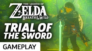 Trial Of The Sword DLC Intro  Zelda Breath Of The Wild Gameplay [upl. by Aiasi]