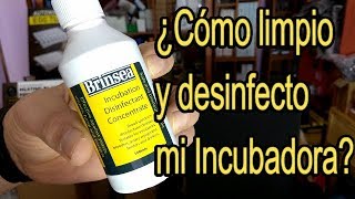 ✅¿Cómo LIMPIO y DESINFECTO mi 🐣 Incubadora  Uso de Desinfectante Brinsea [upl. by Petromilli597]