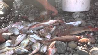 I Pescatori di Roseto Capo Spulico [upl. by Thaxter]