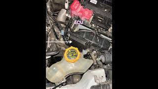 Tata Nexon BS6 Lovato CNG kit installation [upl. by Eatnwahs256]