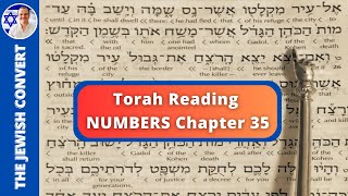 Numbers Chapter 35  Torah Reading in Hebrew with English Translation  TORAH STUDY [upl. by Kuster]