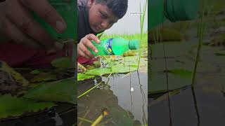 Unbelievable plastic Bottle Hook Fishing Techinques🐬 Bottle Hook Fishing challenge 2024 shorts [upl. by Claman]