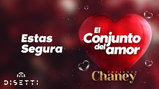 Conjunto Chaney  Estas Segura  Salsa Romantica con Letra [upl. by Ingles]