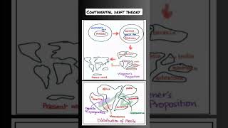 Topic  Continental drift theory [upl. by Wyndham51]