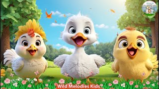 Funny Animal Moments Compilation For Relax Duckling Rooster Hen Mandarin Ducks  Animal Sounds [upl. by Lenci]