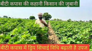 जानिए बीटी कपास में ड्रिप सिंचाई के फायदे Know the benefits of drip irrigation in BT cotton [upl. by Solon980]