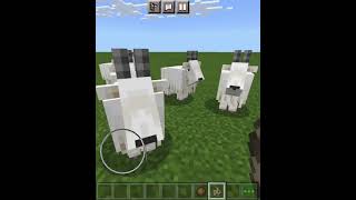 Trying to get screaming goat in minecraft [upl. by Ocsinarf]