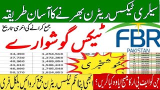 Extensions in filling of FBR tax return  How to File Your Taxes This Year 202425 [upl. by Naitirb]