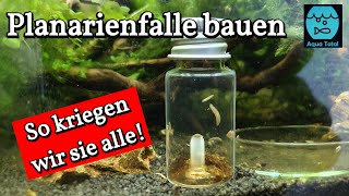 Planarienfalle selber bauen  DIY Projekt zur Bekämpfung von Planarien im Aquarium [upl. by Airotel]