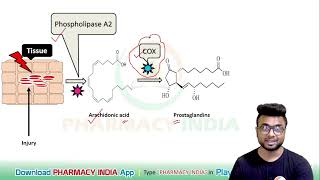 MECHANISM OF ACTION OF NSAIDS  PHARMACOLOGY [upl. by Kciredes525]