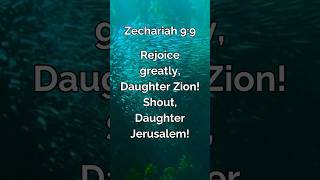 Zechariah 99 [upl. by Nitsug165]