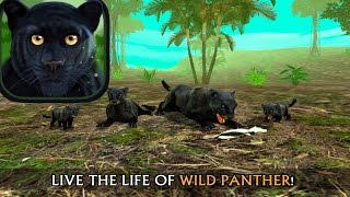 Wild Panther Simulator 3D  By Turbo Rocket Games Simulation  iTunesAndroid [upl. by Rolando397]