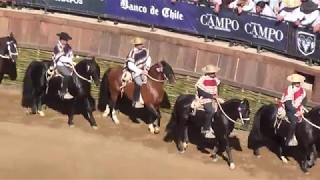 Nacional Rodeo 2017 ingreso y sello de raza [upl. by Halstead]