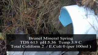 Brunel Mineral Spring  Huntsville Ontario Natural Spring Water [upl. by Castra]