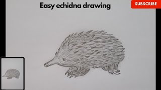 How to draw echidna। Easy echidna drawing । [upl. by Verada]