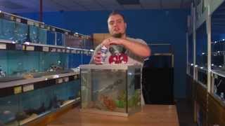 Fishkeeping Tips  How To Set Up An Aquarium [upl. by Suolevram]