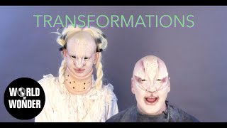 Salvia Transformations with James St James 528 [upl. by Ssitnerp]