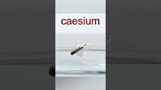 How to react caesium with water experiment science amazingfacts  physics sciencerules sci [upl. by Devona]