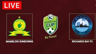 Mamelodi Sundowns vs Richards Bay online Live match today  African premier league [upl. by Nylirek]