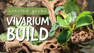 Easy vivarium build  set up a bioactive terrarium for my crested gecko with me [upl. by Morganica]