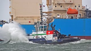 23 MINUTES OF MARINE TRAFFIC AT ROTTERDAM PORT NETHERLANDS 4K SHIPSPOTTING 2023 [upl. by Aidua]