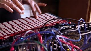 Kaitlyn Aurelia Smith MakeNoise Modular System and BEMI LEM218 [upl. by Lovel501]