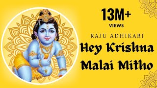 Hey krishna Malai Mitho Bamsi  Raju Adhikari srdbhakti Bhajan  Nepali Bhajan [upl. by Battista]