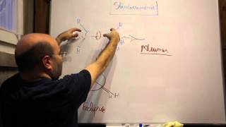 Chimie Organique  Stéréoisomères de conformation Newman [upl. by Ecinahs]