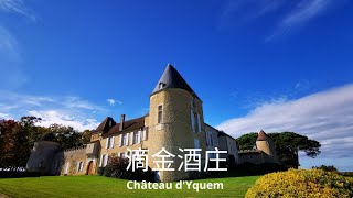 法国波尔多quot滴金酒庄quot Château d’Yquem：这里的完美从“腐烂”的葡萄开始  法国生活 [upl. by Gnaw607]