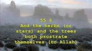 AbdulBasitAlQamar Verse 49 to ArRahmanVerse 27 [upl. by Atarman294]