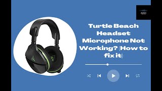 Turtle Beach Headset Microphone Not Working How to fix it [upl. by Eserehc]