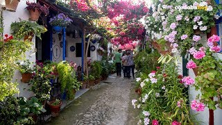 Córdobahoy  Patios de Córdoba 2018 [upl. by Jamilla434]