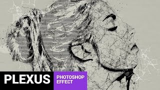 Skeletum  Plexus Art Photoshop Action Tutorial [upl. by Graubert]