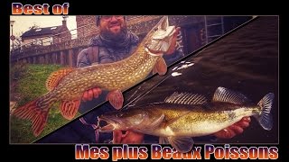 BEST OF de mes plus Beaux Poissons BrochetSandre en musique  Trap façon editing [upl. by Barbey]