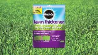 How To Repair A Patchy Lawn  Lawn Care Tips  Garden Ideas amp Tips  Homebase [upl. by Nerraw]