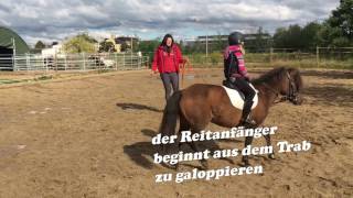 Reiten lernen mit der PonyTruppe  Teil 11  Der Galopp [upl. by Gahan]