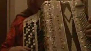 Traditional Swedish accordeon music [upl. by Atilek]