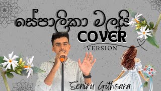 Sepalika Malai  Cover version by Seniru Githsara Original Song  Jayasiri Amarasekara [upl. by Hughett]