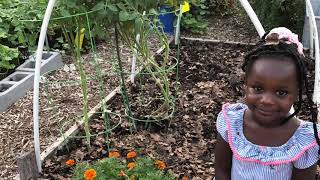 Adding compost worm castings azomite and leaf mulch to garden beds for a fall and winter garden [upl. by Lupita945]