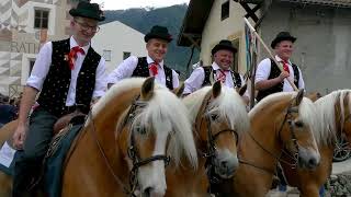 Haflinger Festival Schluderns 2024 [upl. by Elsi]