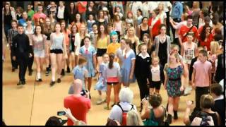 Riverdance Flash Mob Central Station 2011 [upl. by Iinde939]