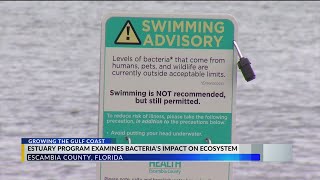 Getting to the source of the bacteria in northwest Florida waters [upl. by Sidnala]