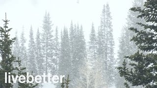 Sonidos Relajantes de Nevada para Dormir  Ruidos de la Naturaleza con Viento Calmante que da Sueño [upl. by Ivgnout176]