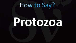 How to Pronounce Protozoa Eukaryotes Bacteria [upl. by Onairelav]