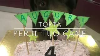 torta per cani [upl. by Yenor]