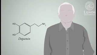 Nervcellerna som kan förändra Parkinsonbehandlingen [upl. by Yenttihw]