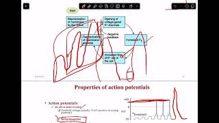 Lecture 2 from refractory period [upl. by Chasse]