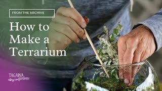 How to Make a Terrarium by Tagawa Gardens [upl. by Buseck]