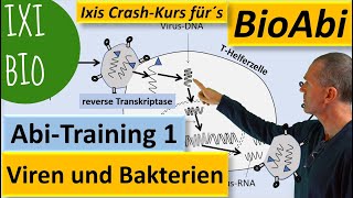 Viren und Bakterien  lysogener lytischer Zyklus  Anwendung  Biologie Abitur  Training Bio Abi [upl. by Reibaj]